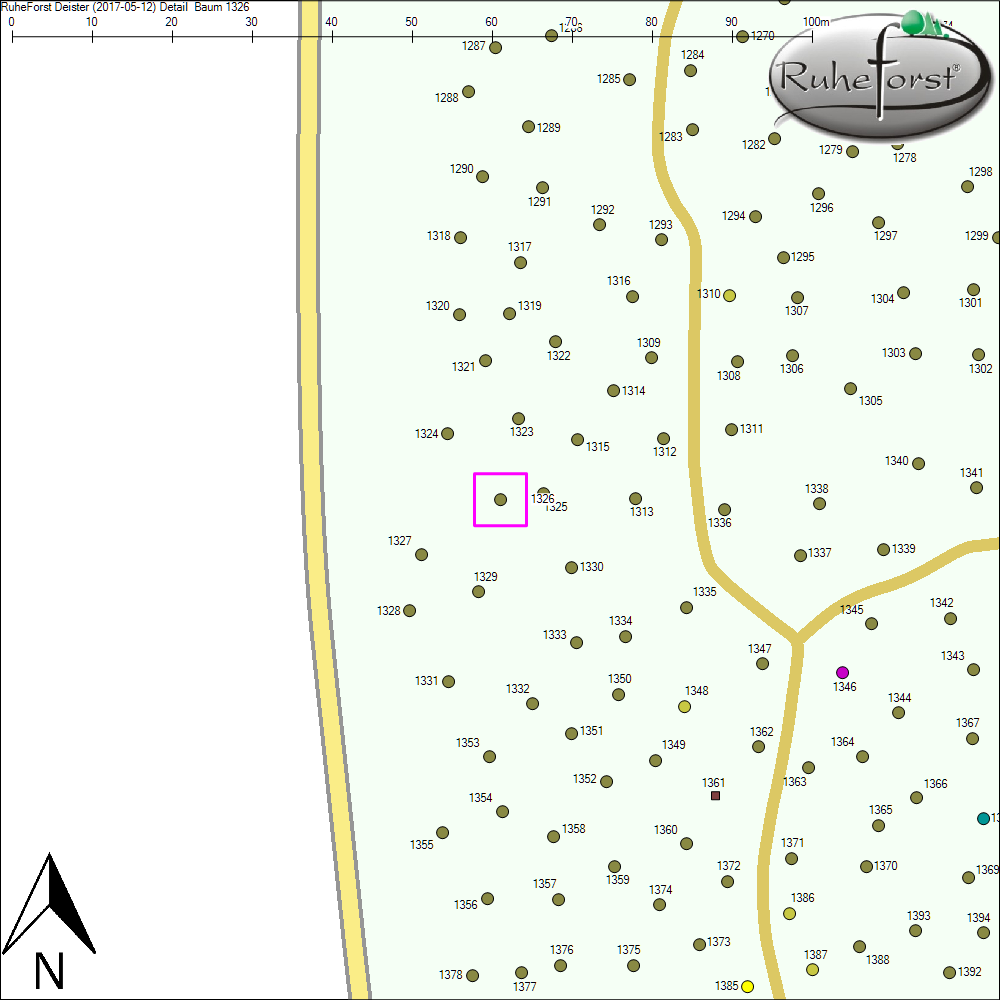 Detailkarte zu Baum 1326