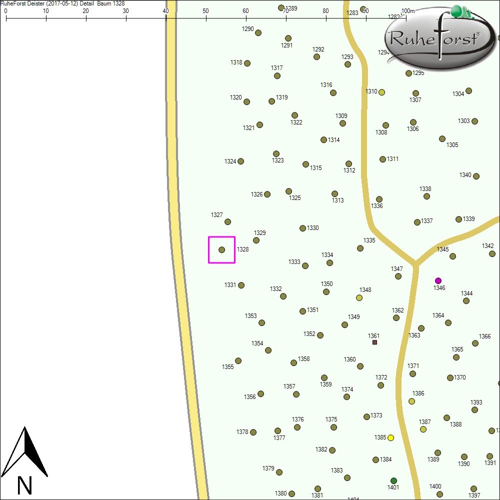 Detailkarte zu Baum 1328
