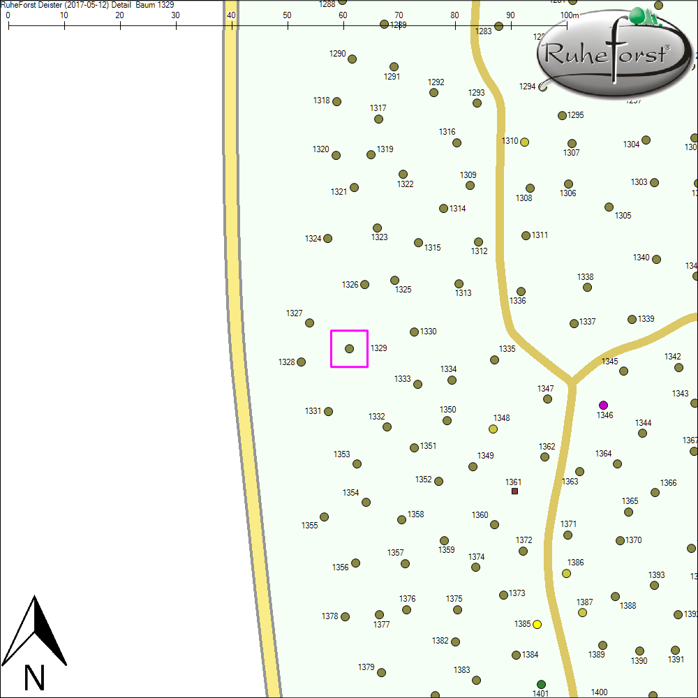 Detailkarte zu Baum 1329