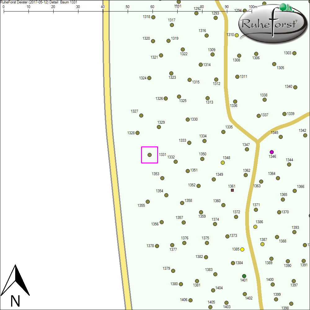 Detailkarte zu Baum 1331