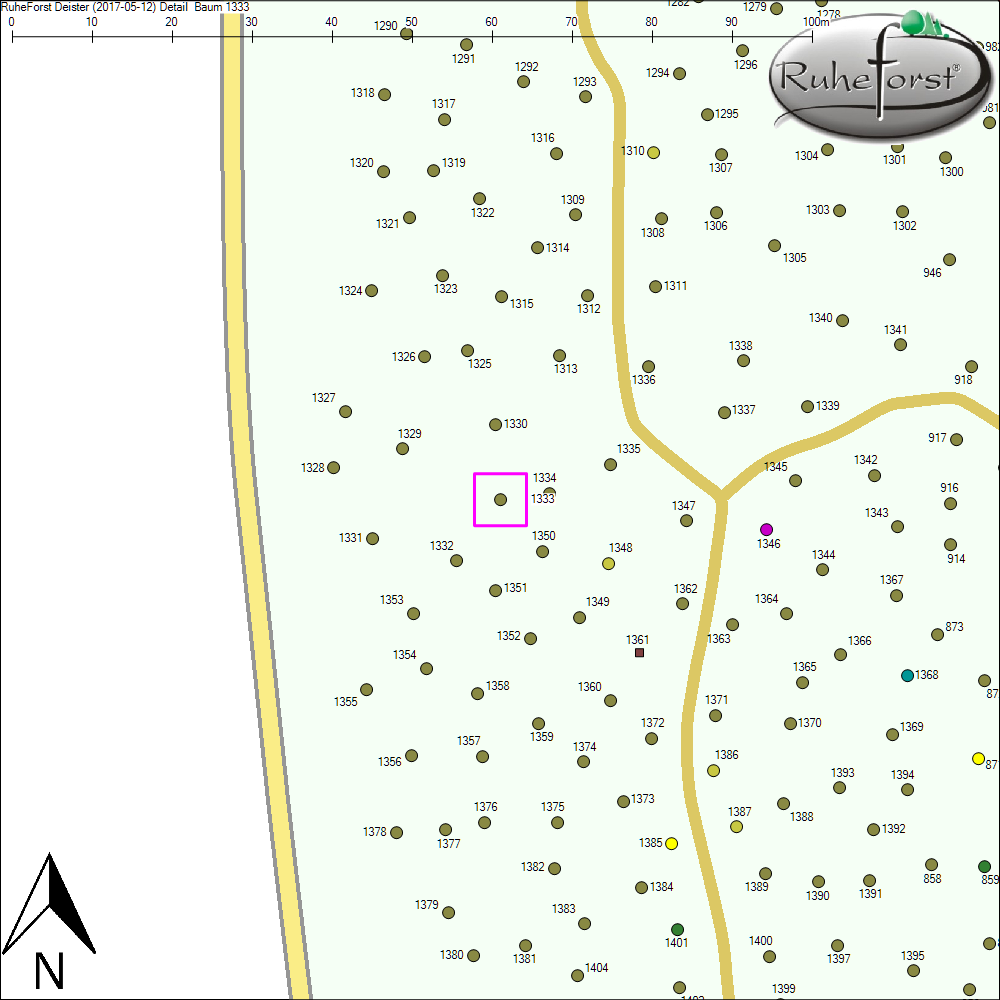 Detailkarte zu Baum 1333