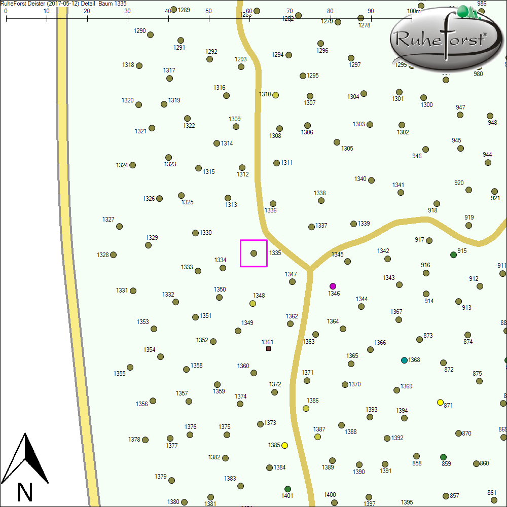 Detailkarte zu Baum 1335