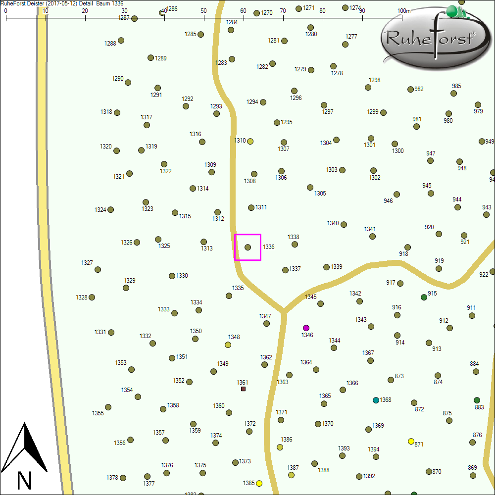 Detailkarte zu Baum 1336
