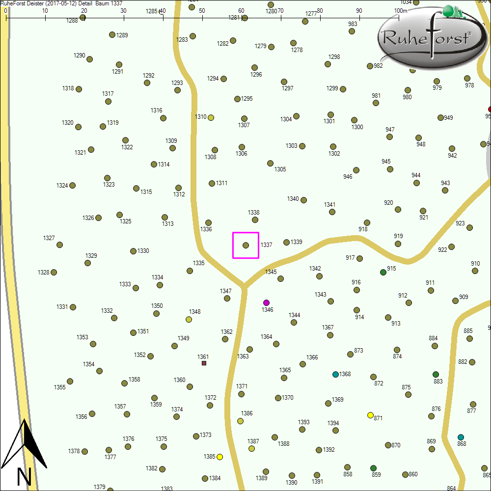 Detailkarte zu Baum 1337