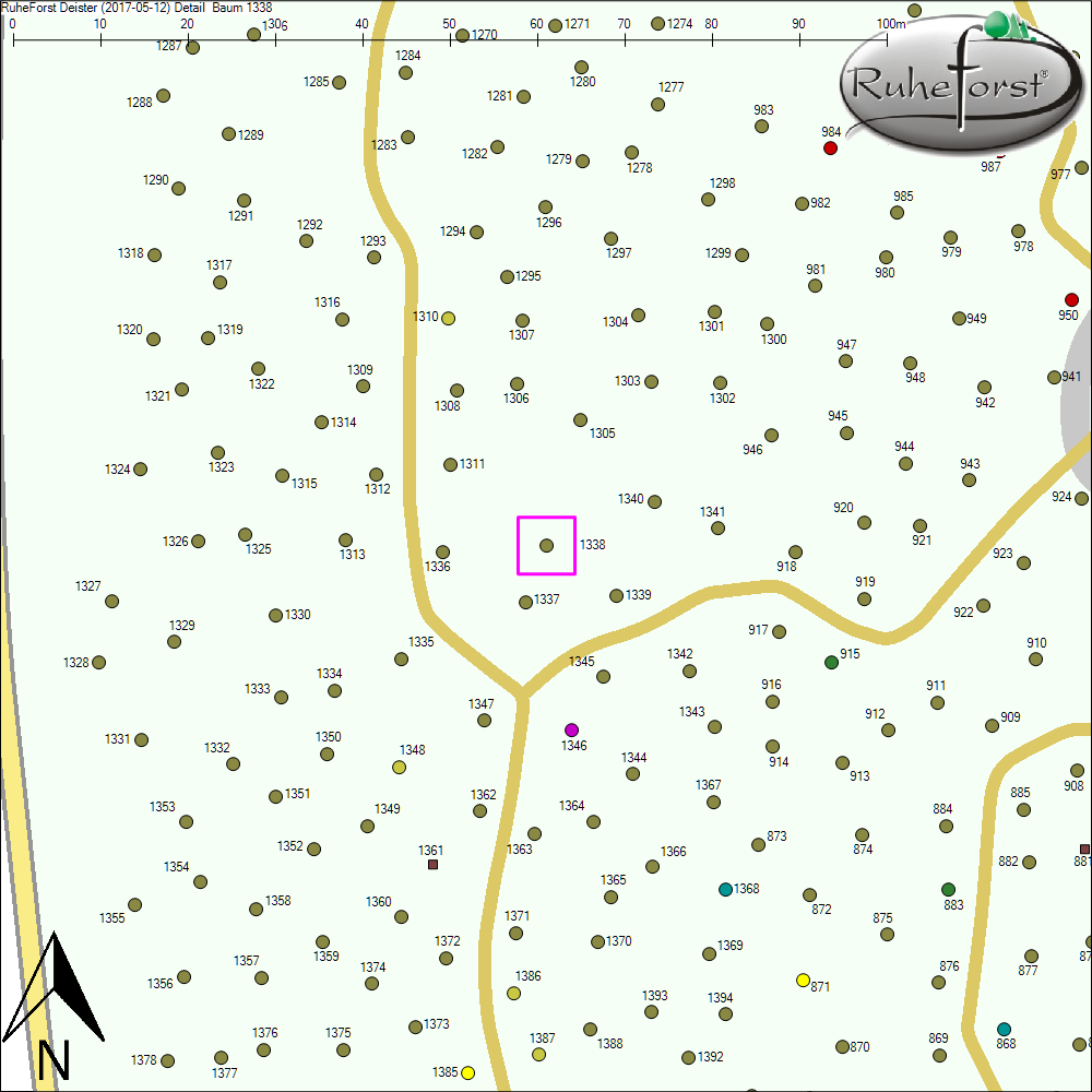 Detailkarte zu Baum 1338