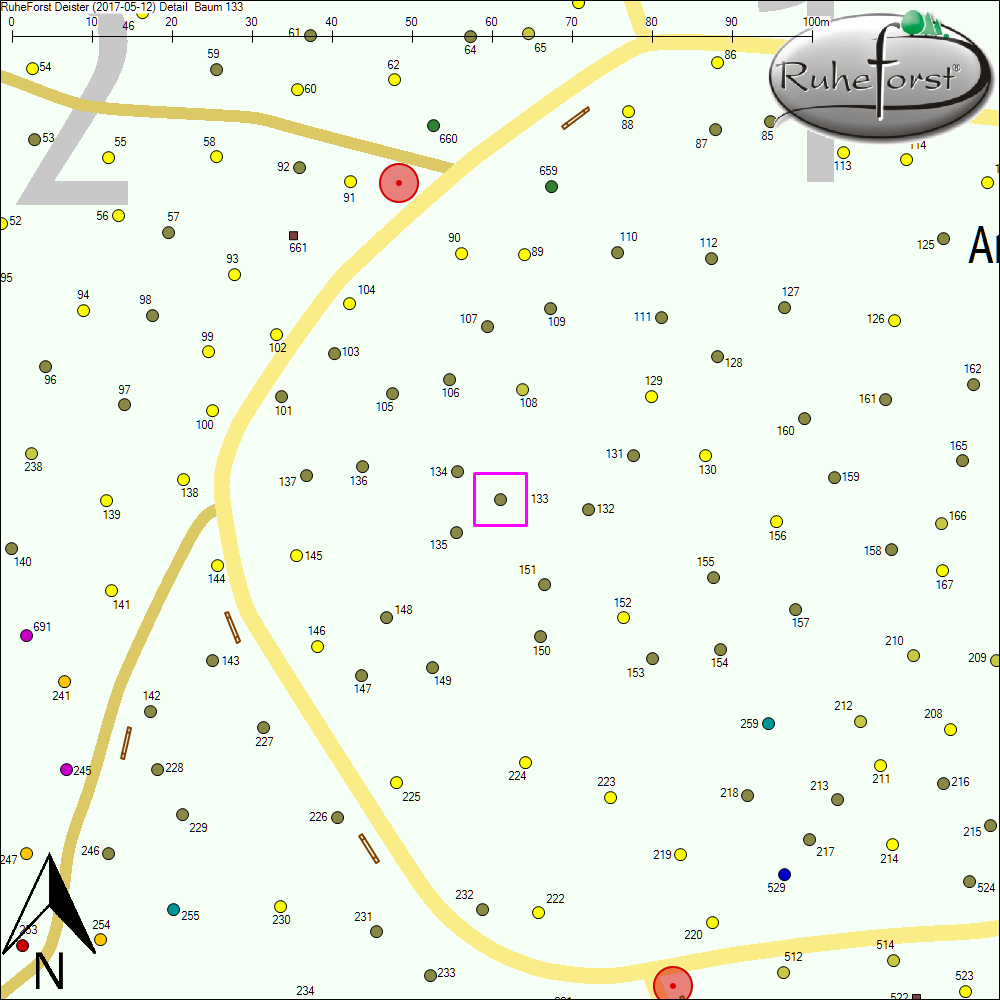 Detailkarte zu Baum 133