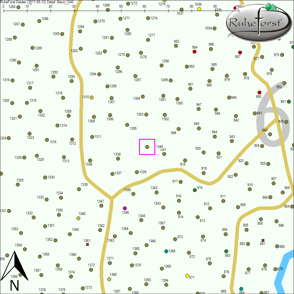 Detailkarte zu Baum 1340