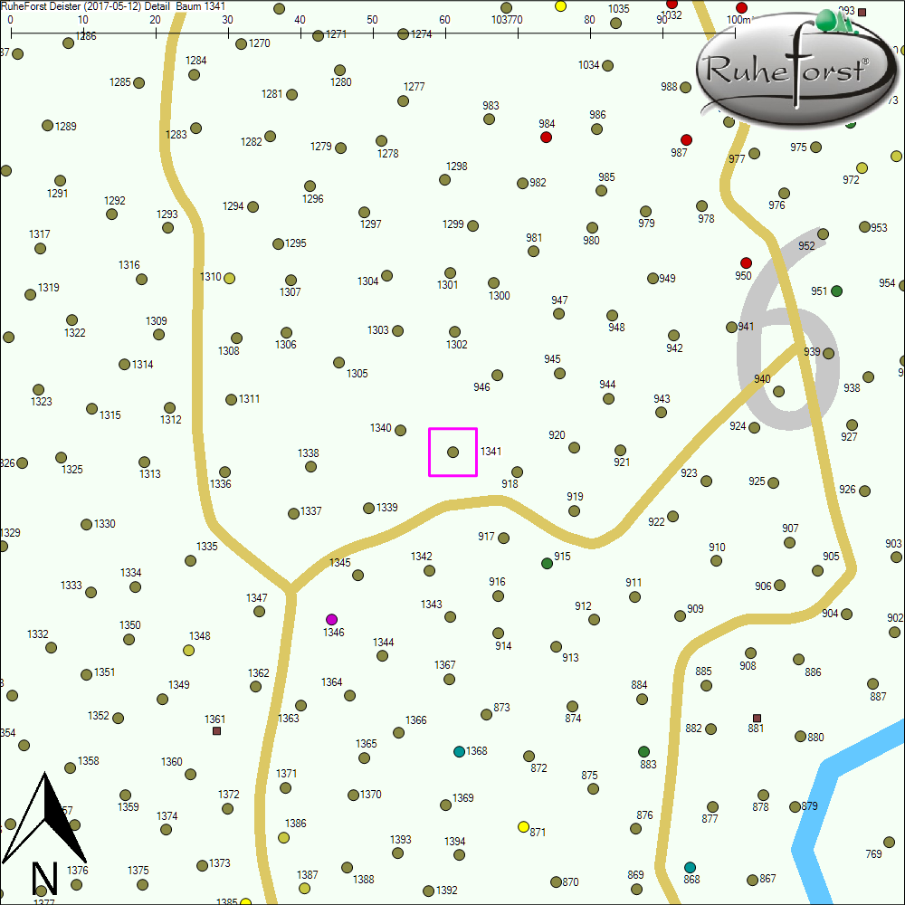 Detailkarte zu Baum 1341
