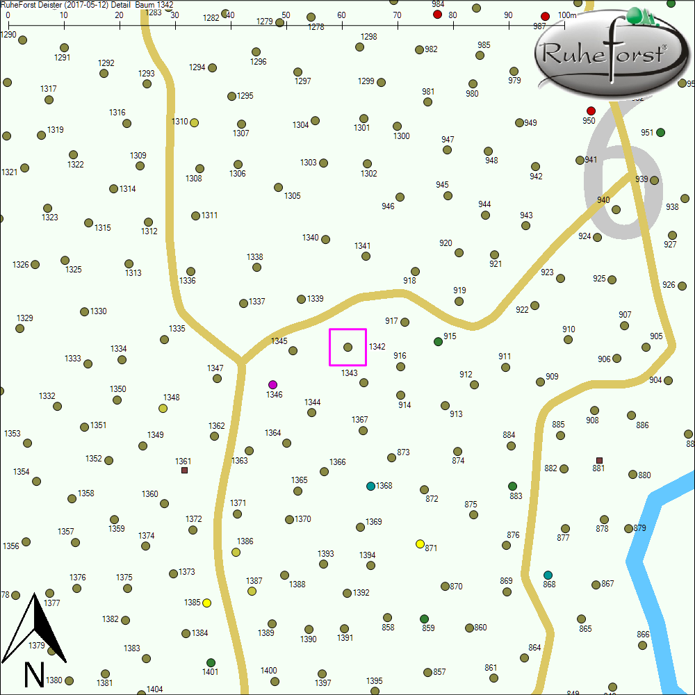 Detailkarte zu Baum 1342