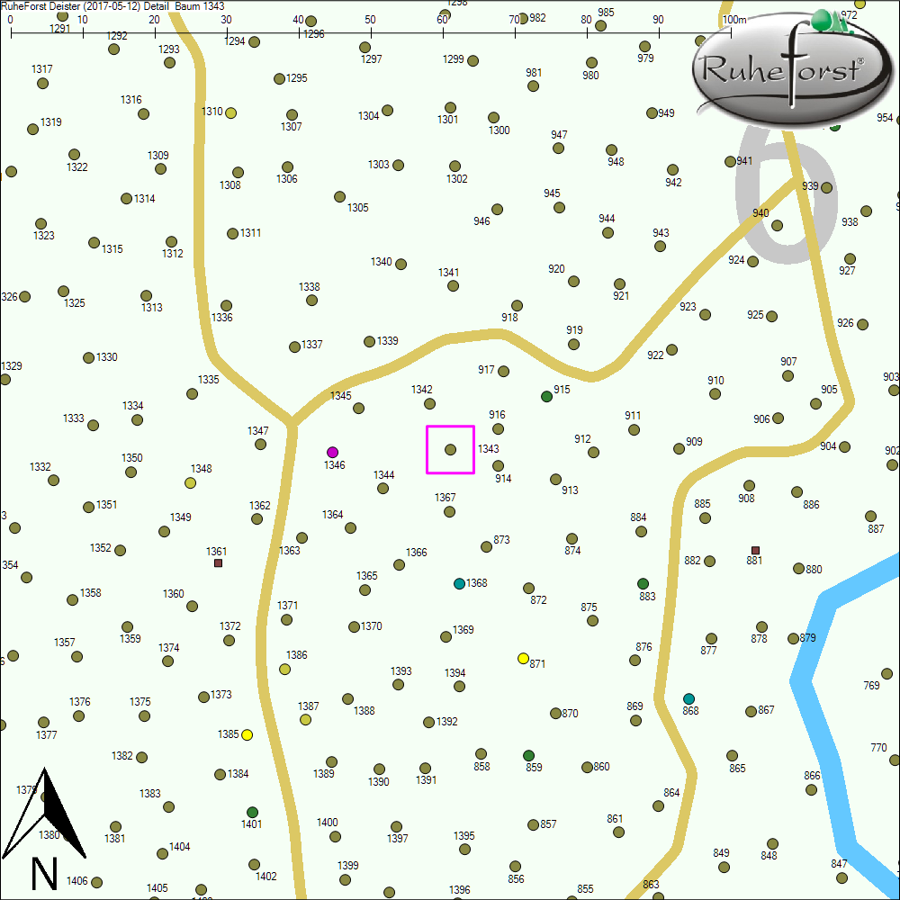 Detailkarte zu Baum 1343