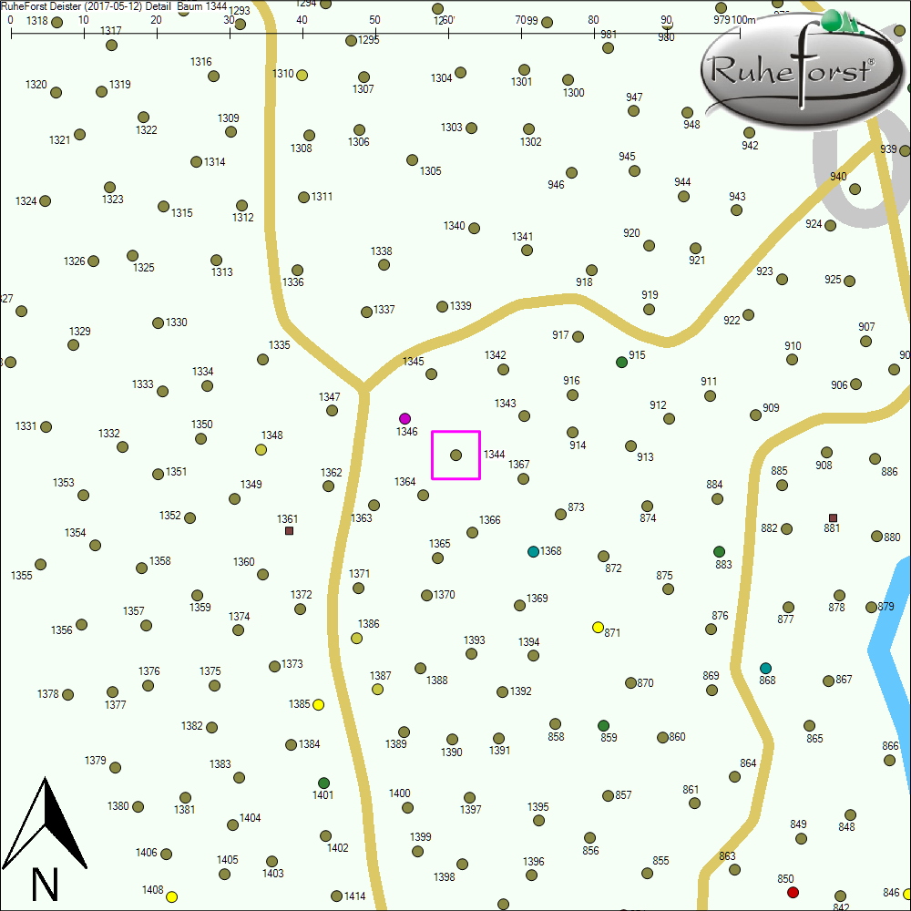 Detailkarte zu Baum 1344