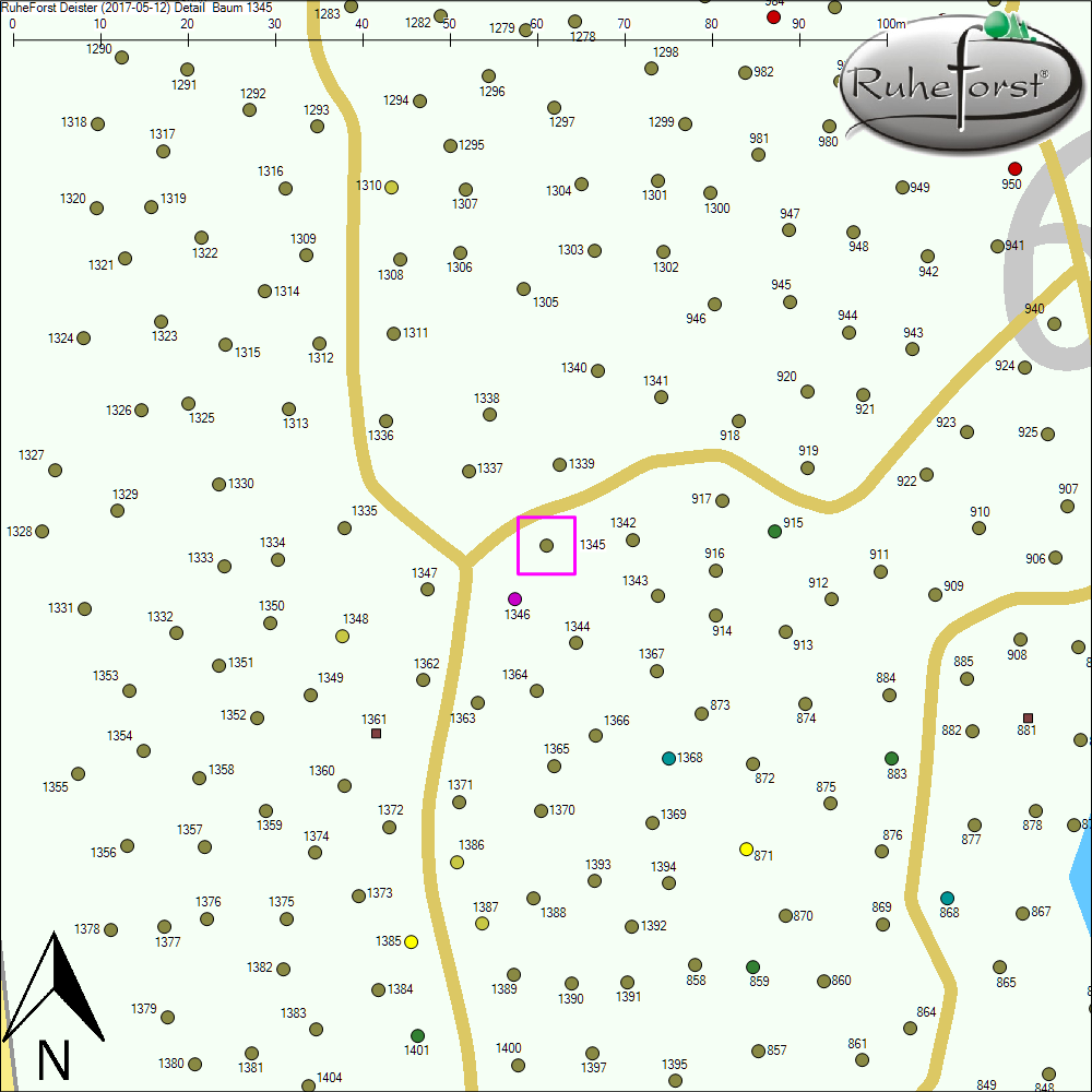 Detailkarte zu Baum 1345
