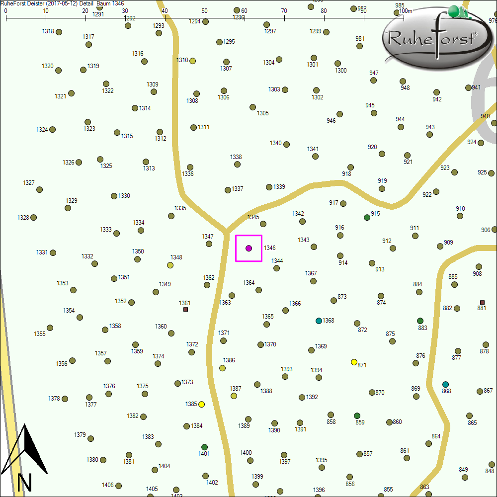 Detailkarte zu Baum 1346