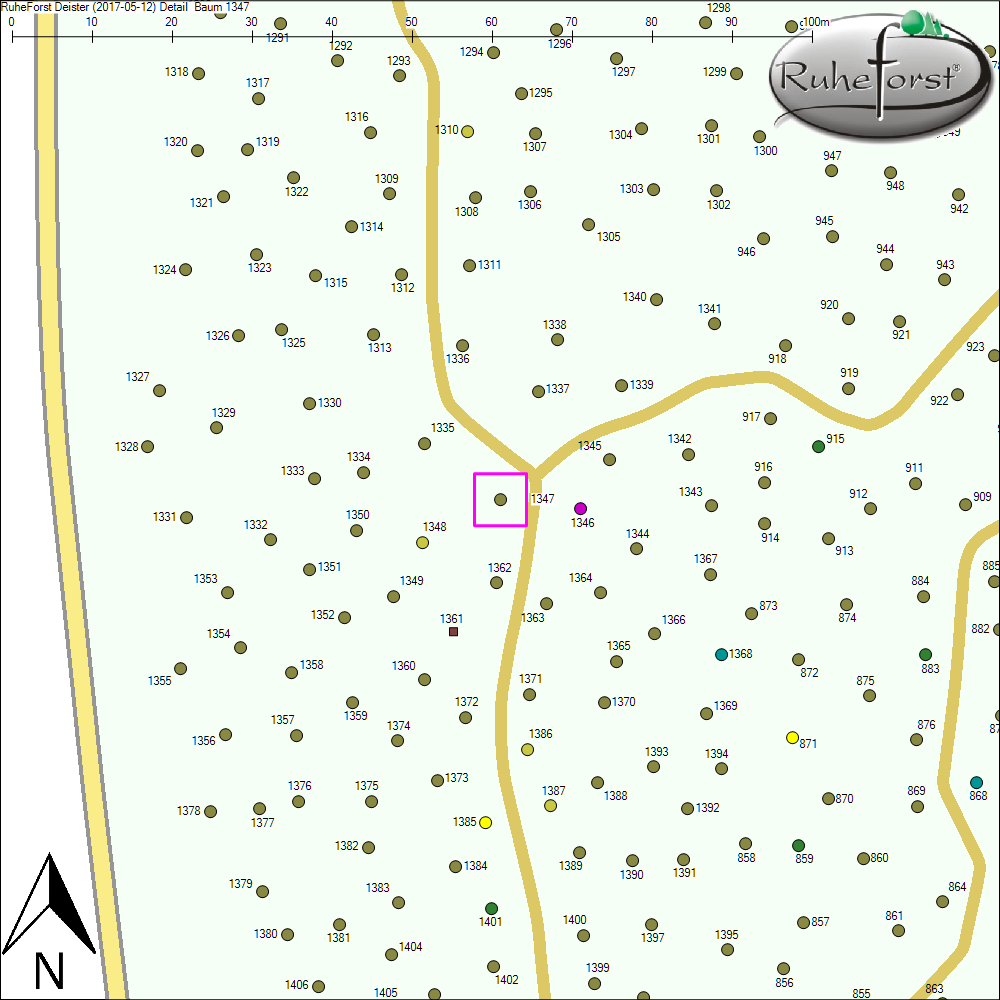Detailkarte zu Baum 1347