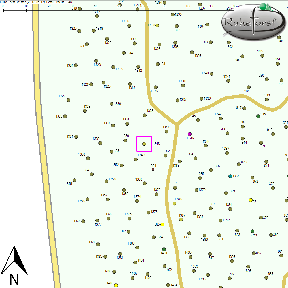 Detailkarte zu Baum 1348