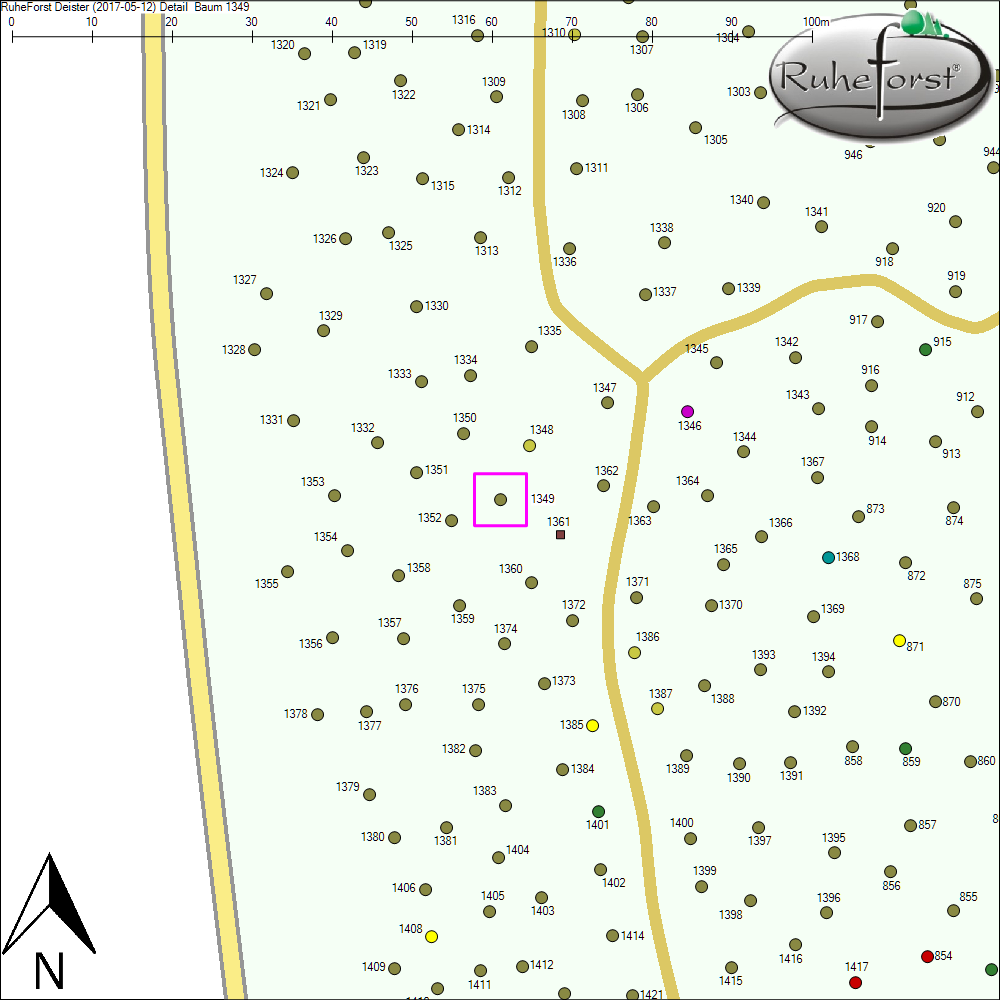 Detailkarte zu Baum 1349