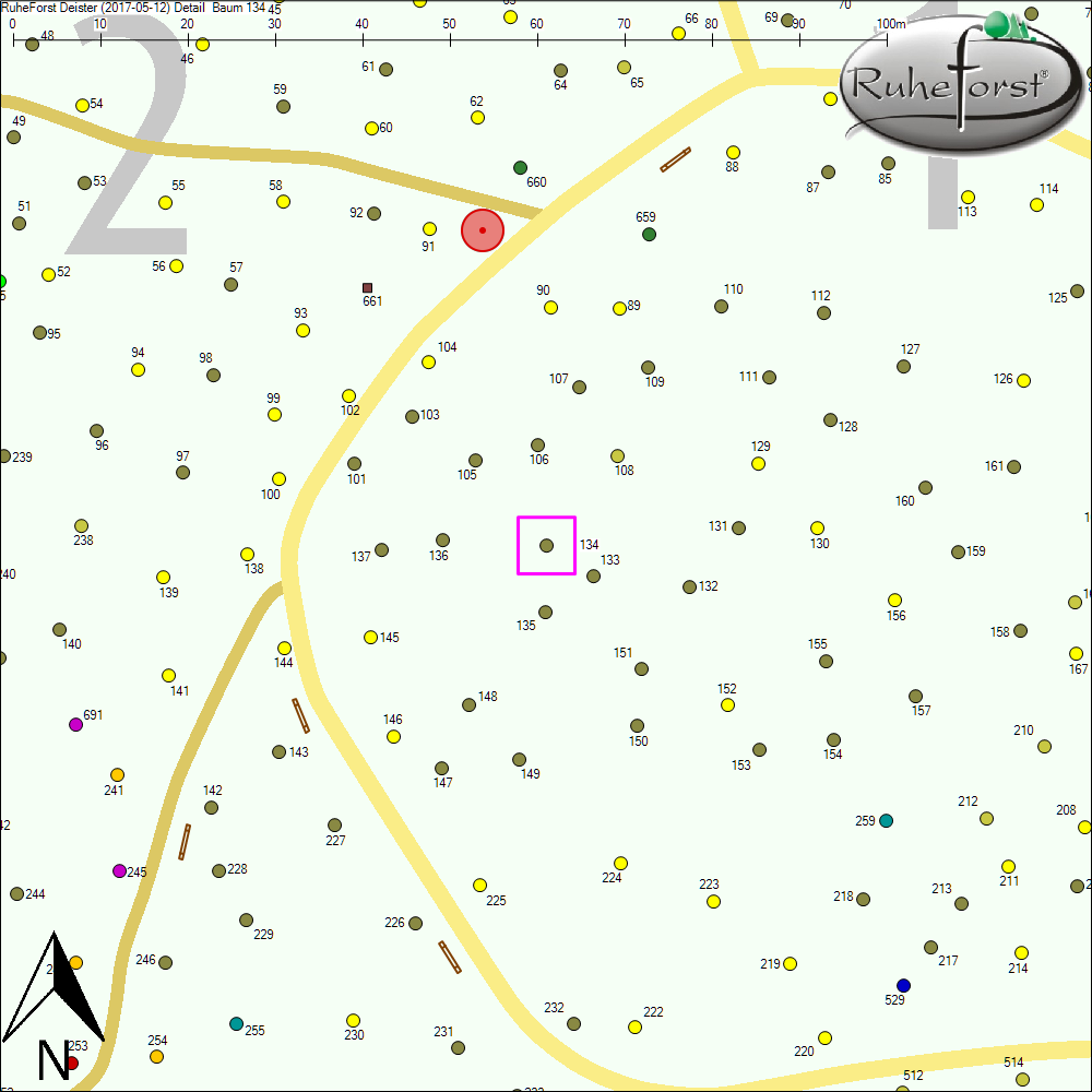 Detailkarte zu Baum 134