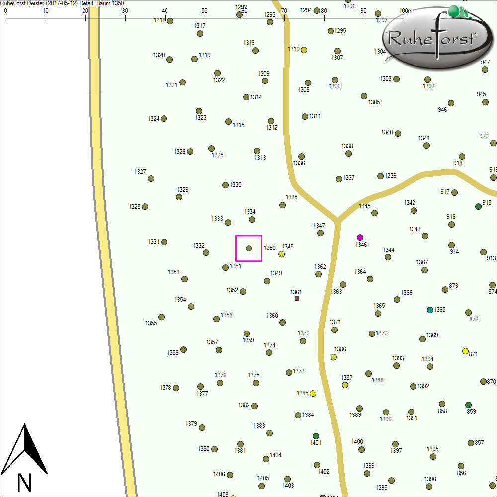 Detailkarte zu Baum 1350