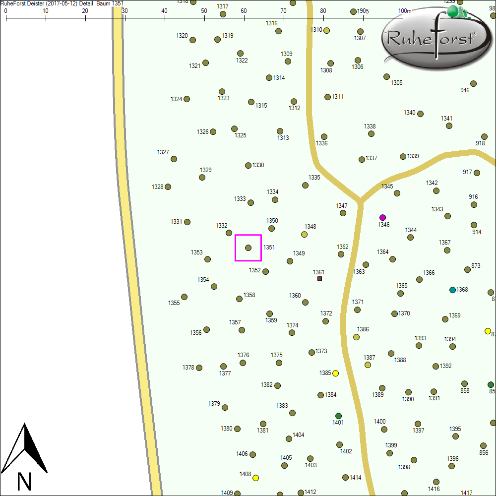 Detailkarte zu Baum 1351