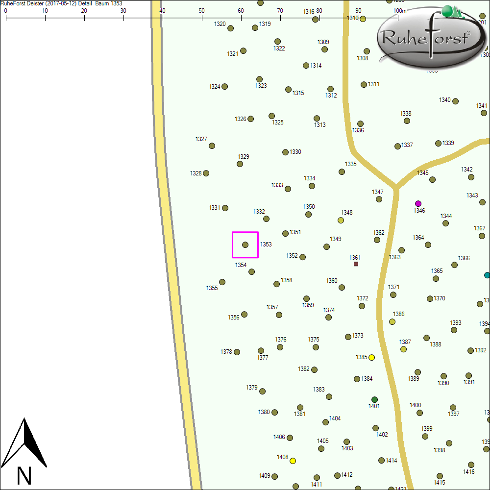 Detailkarte zu Baum 1353