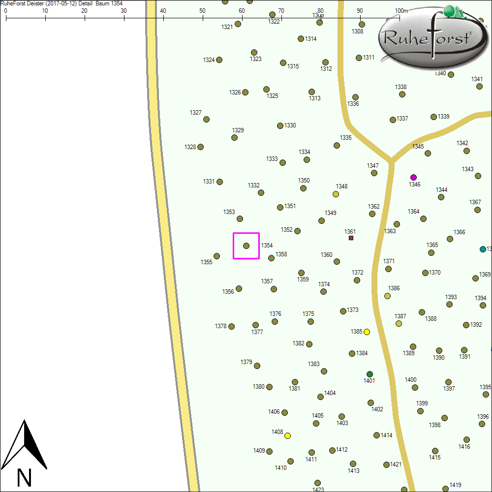 Detailkarte zu Baum 1354