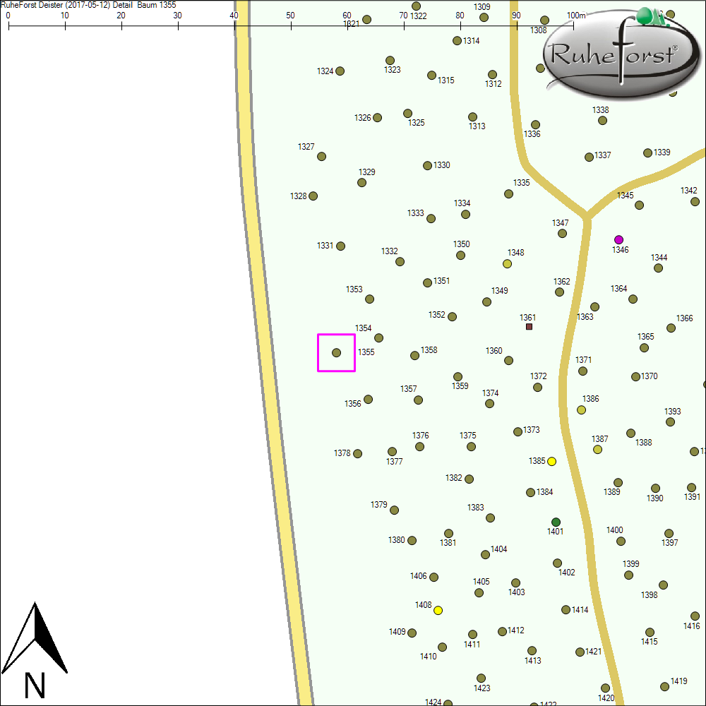 Detailkarte zu Baum 1355