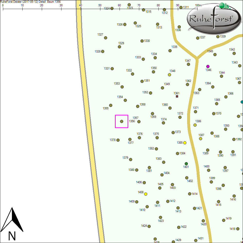 Detailkarte zu Baum 1356
