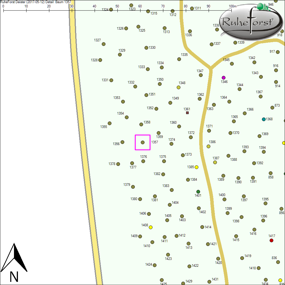 Detailkarte zu Baum 1357
