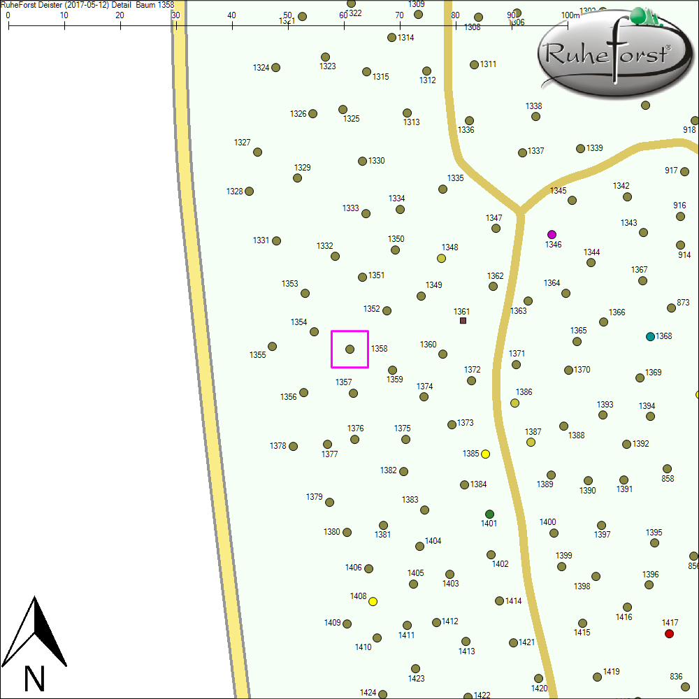 Detailkarte zu Baum 1358
