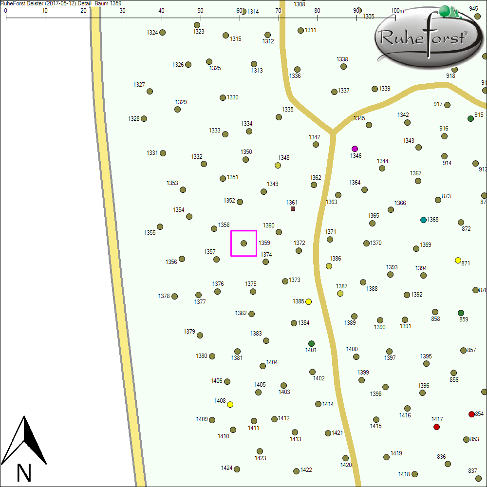 Detailkarte zu Baum 1359