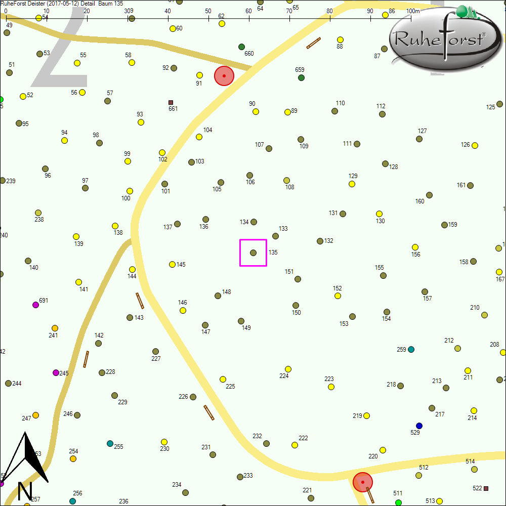 Detailkarte zu Baum 135