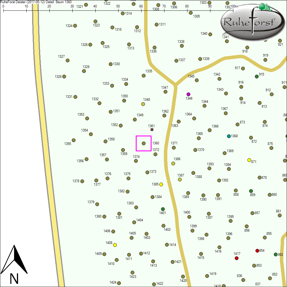 Detailkarte zu Baum 1360