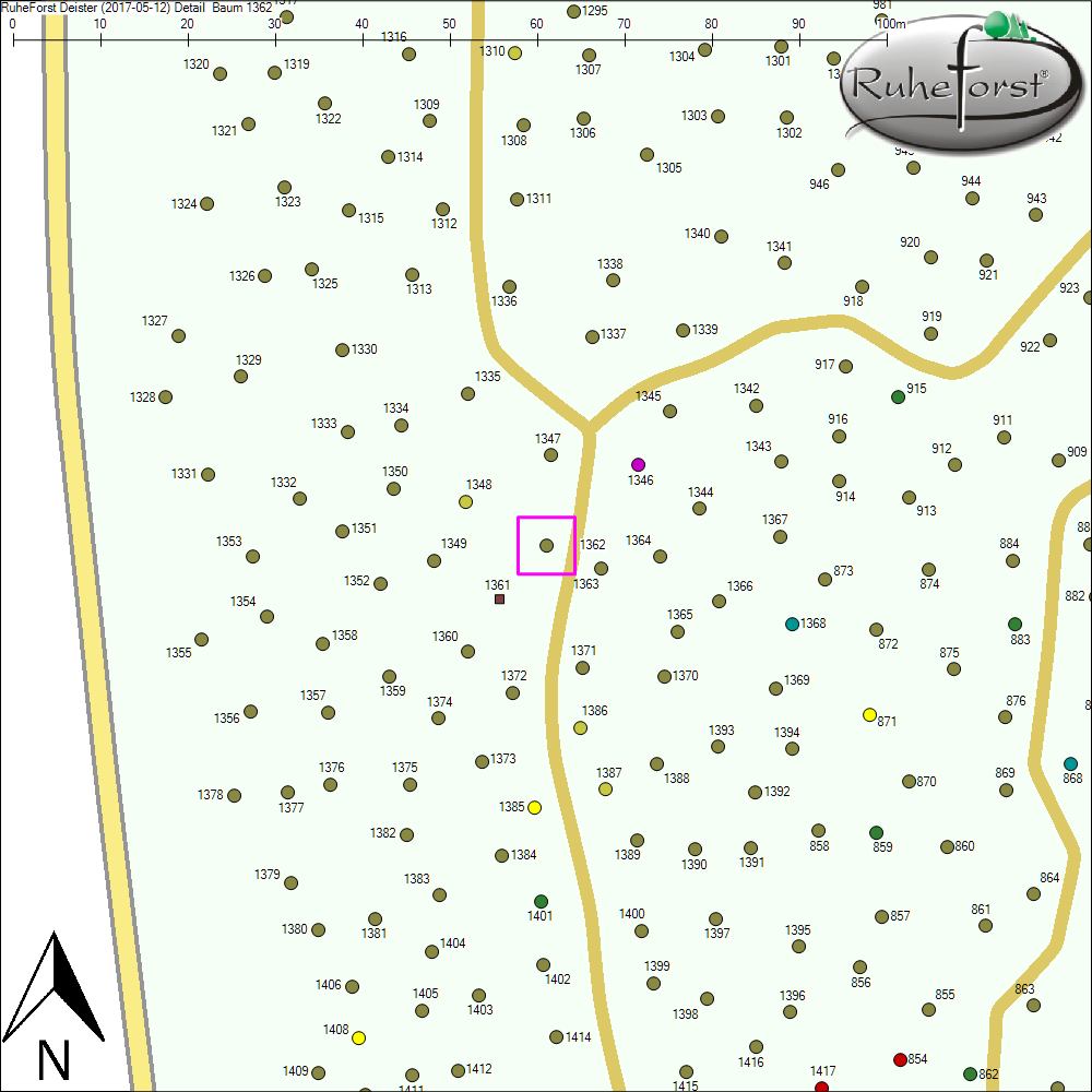 Detailkarte zu Baum 1362