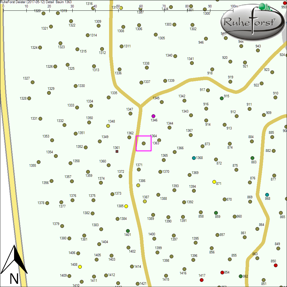 Detailkarte zu Baum 1363