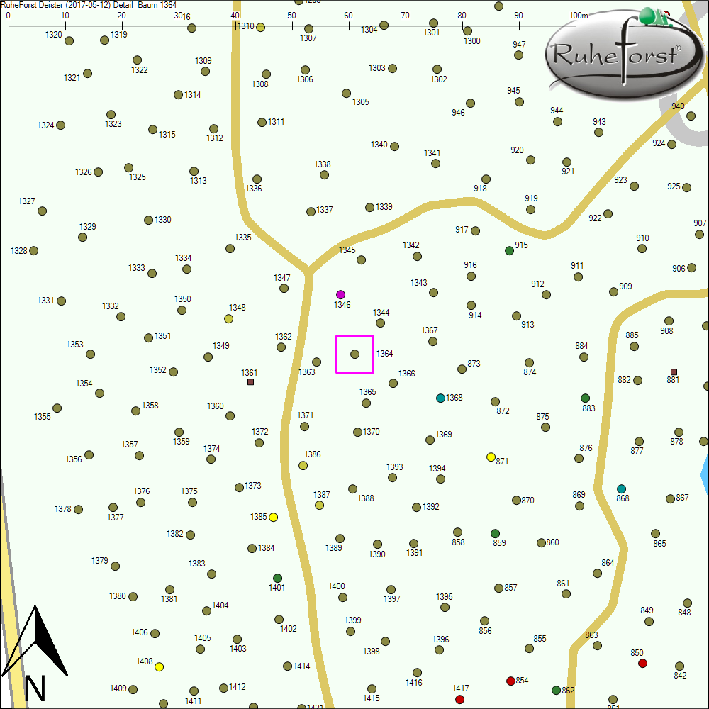 Detailkarte zu Baum 1364