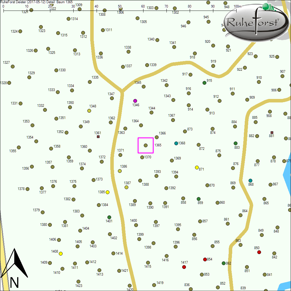 Detailkarte zu Baum 1365