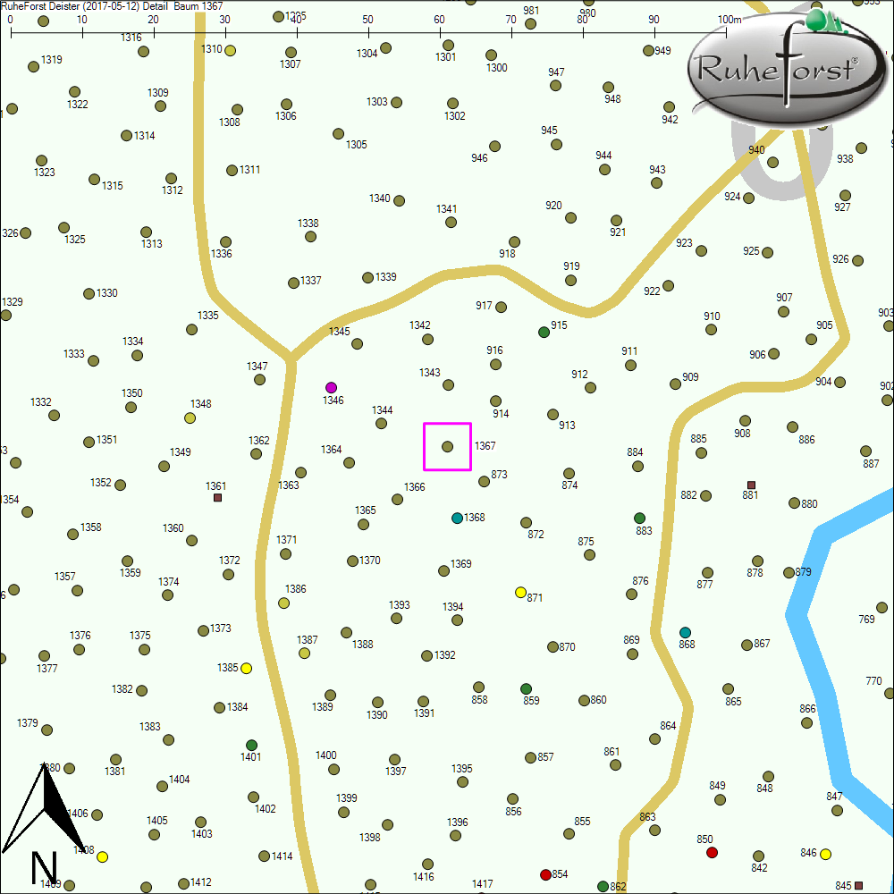 Detailkarte zu Baum 1367