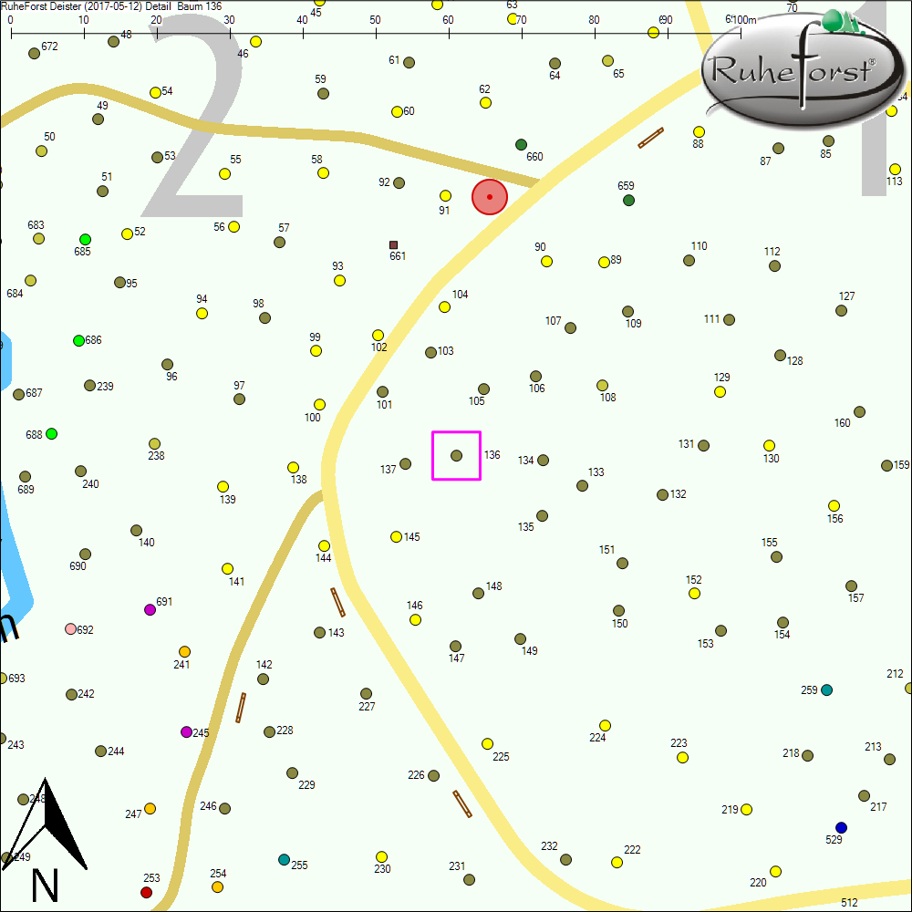Detailkarte zu Baum 136