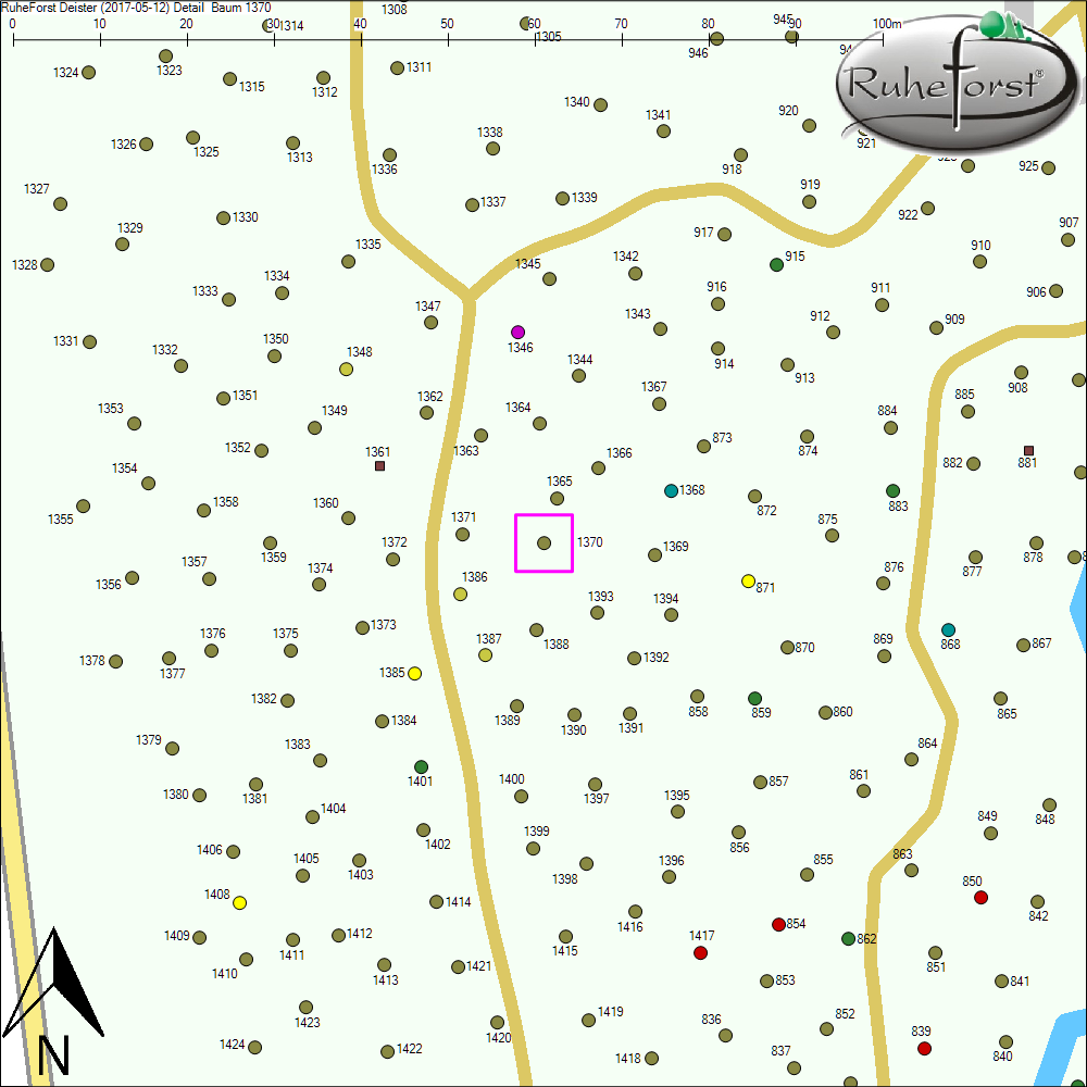 Detailkarte zu Baum 1370