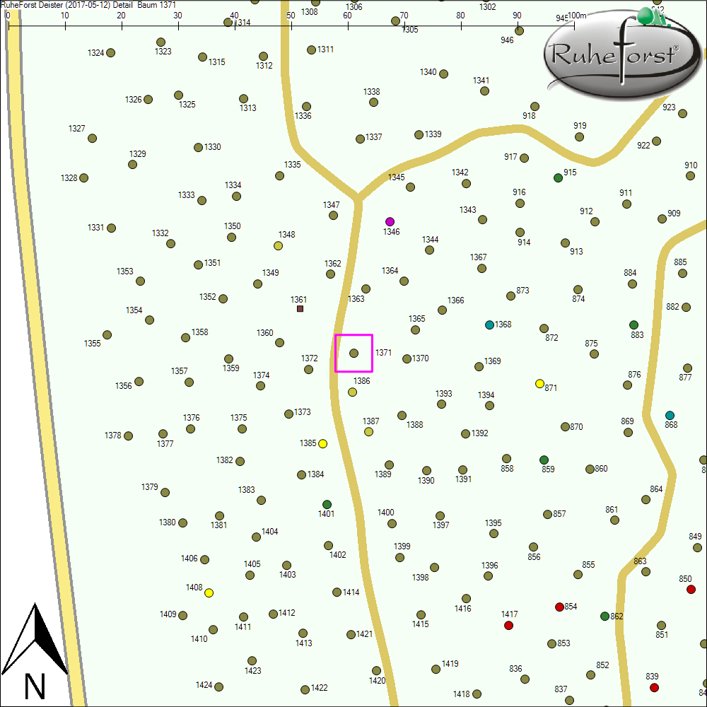 Detailkarte zu Baum 1371
