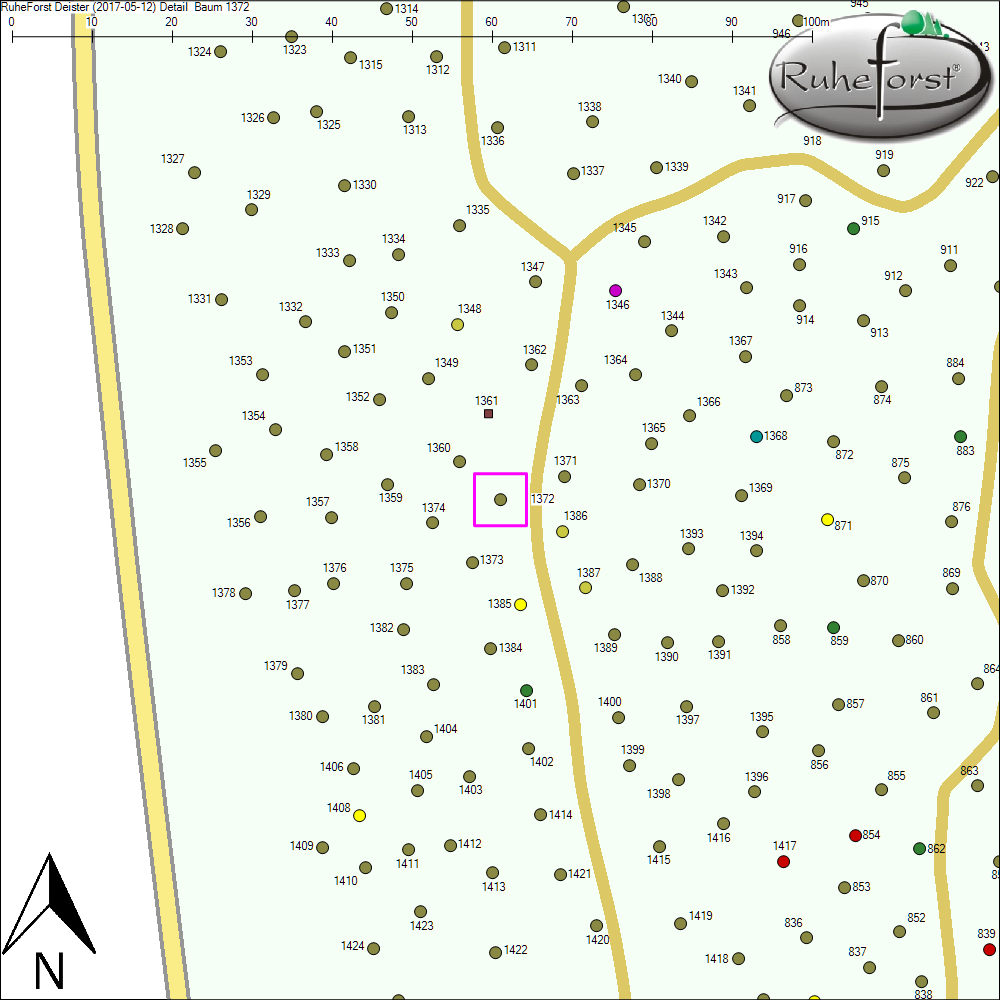 Detailkarte zu Baum 1372