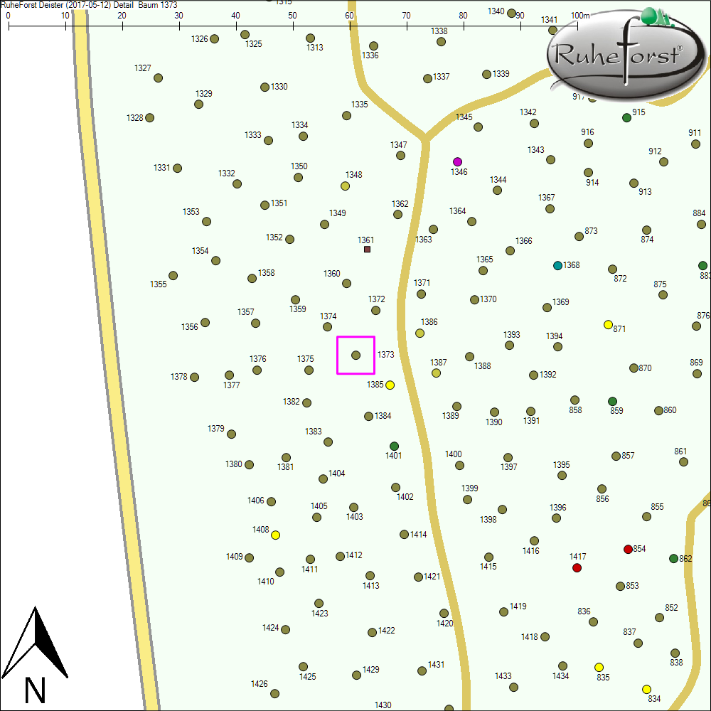 Detailkarte zu Baum 1373