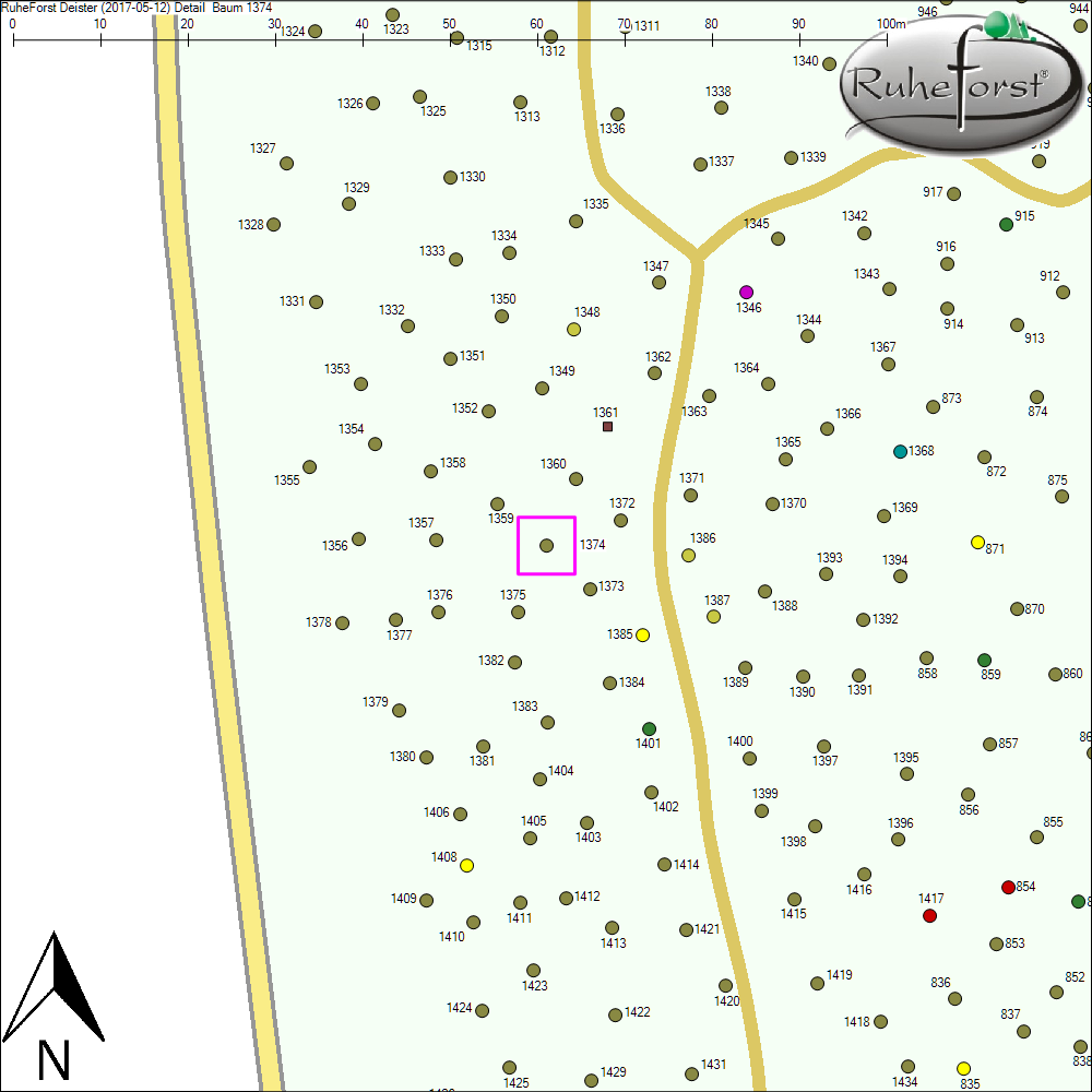Detailkarte zu Baum 1374