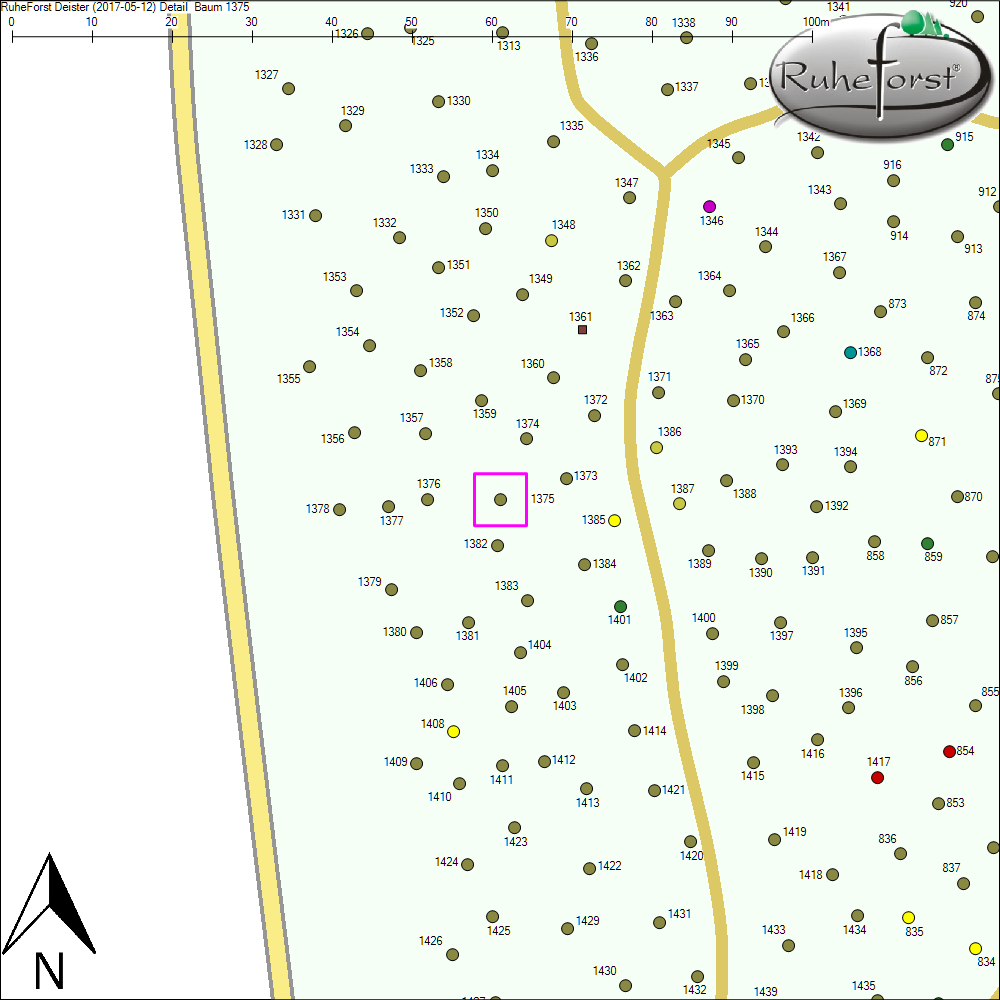 Detailkarte zu Baum 1375
