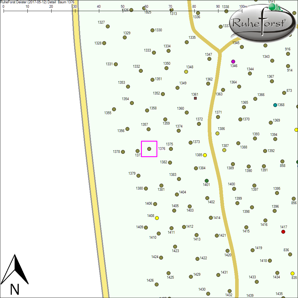 Detailkarte zu Baum 1376