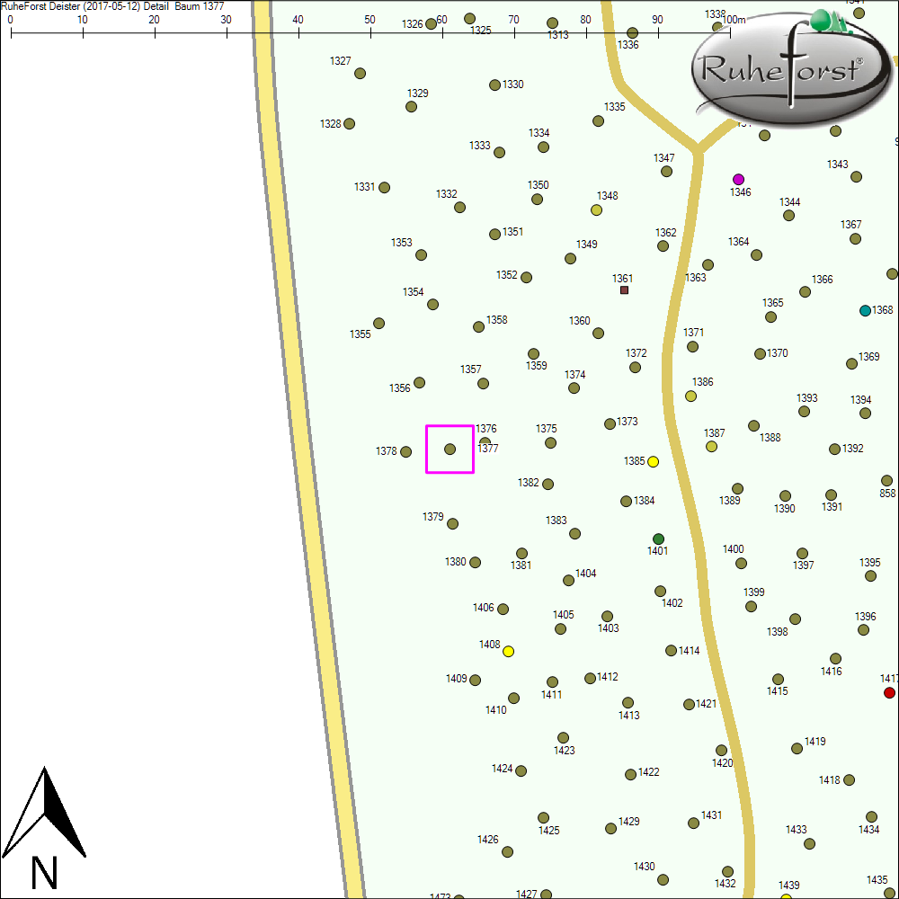 Detailkarte zu Baum 1377