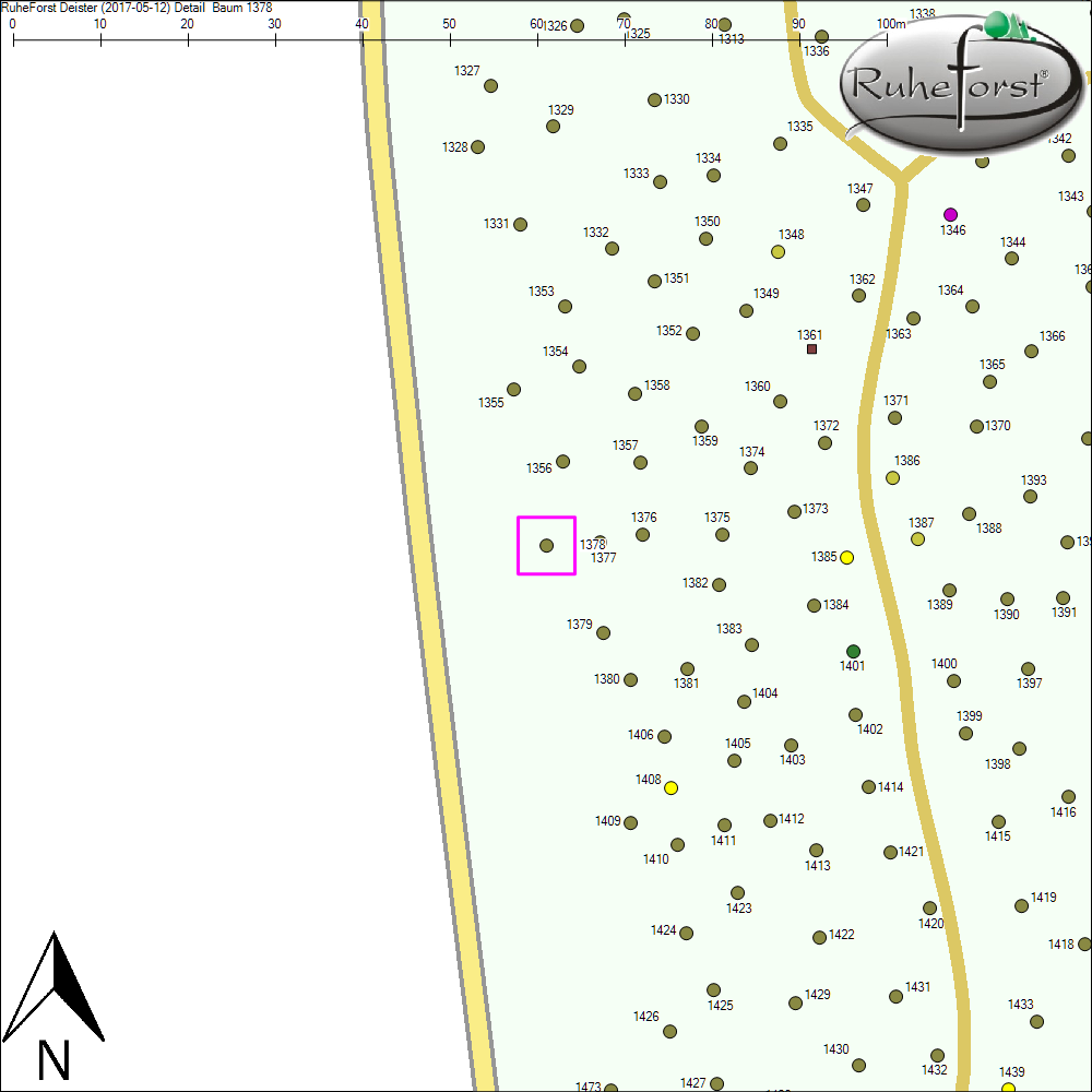 Detailkarte zu Baum 1378