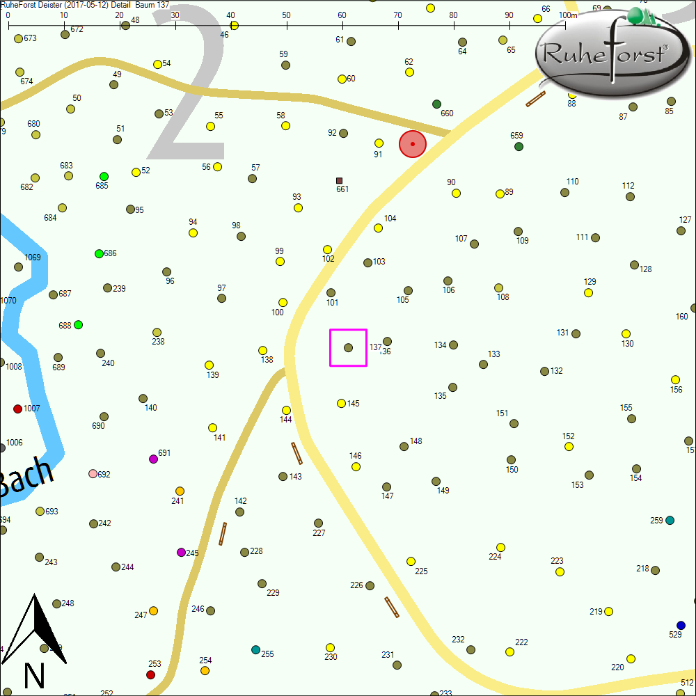Detailkarte zu Baum 137