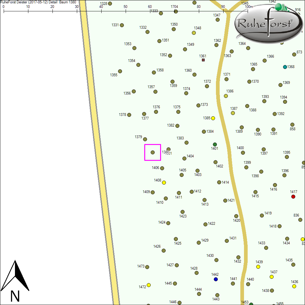 Detailkarte zu Baum 1380