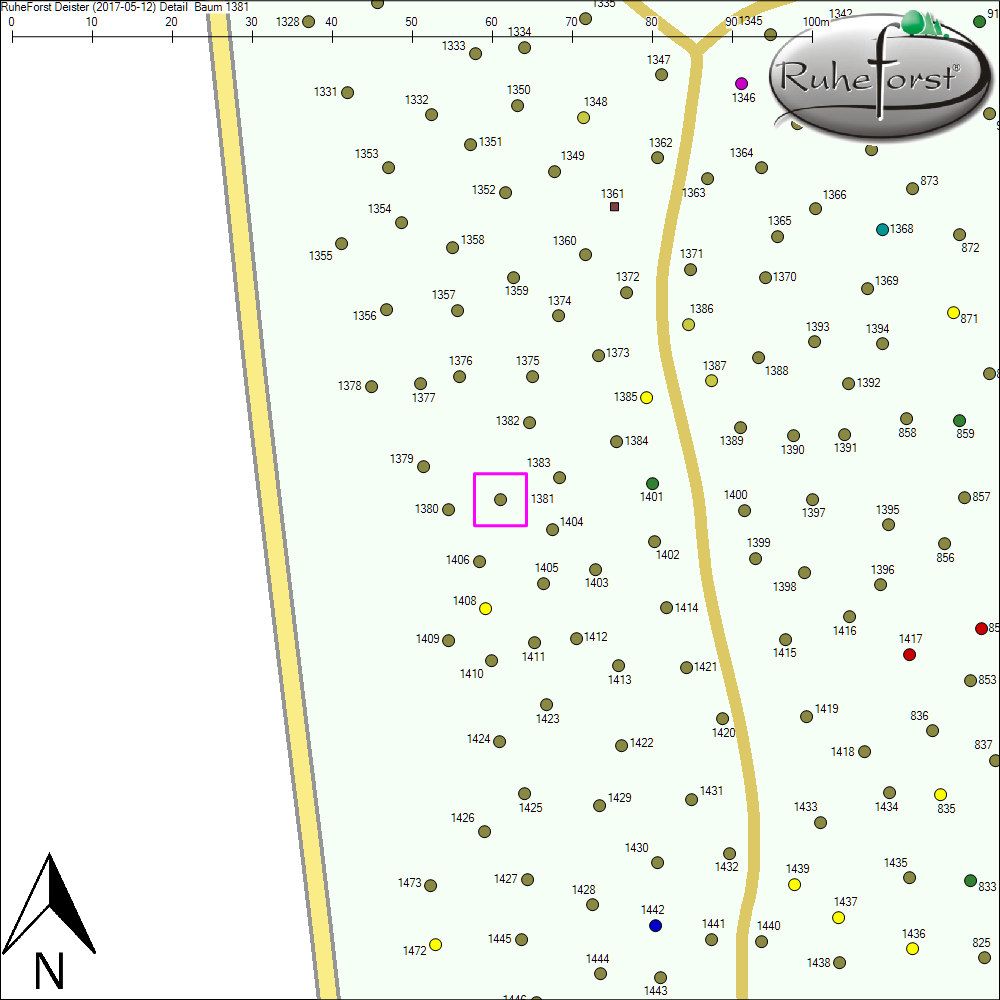 Detailkarte zu Baum 1381
